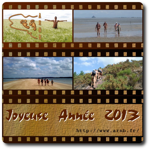 Bonne année 2013