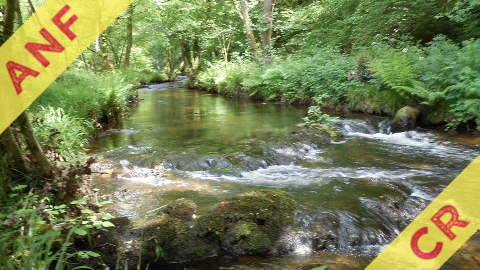 Randonue autour du Nivot - Compte-rendu