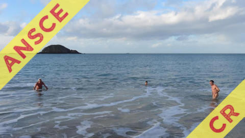 Baignade naturiste de fin d'année par l'ANSCE - Compte-rendu
